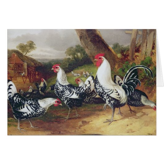 Cockerels in a Landscape Cards (Front Horizontal)