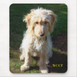 Cockerpoo Puppy Mouse Pad at Zazzle