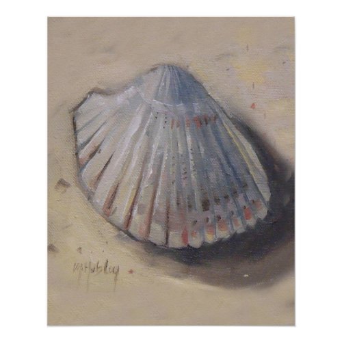 Cockle Shell Beach Seashell Poster