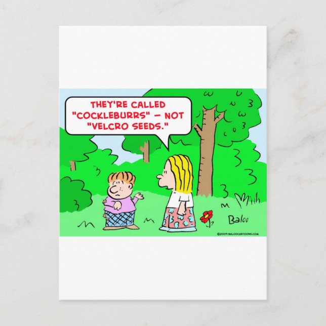 cockleburrs velcro seeds postcard (Front)