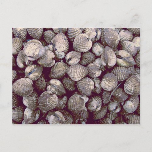 Cockles Postcard