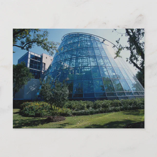 Cockrell Butterfly Center, exhibit, Houston Museum Postcard Zazzle