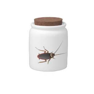Cockroach Candy Jar