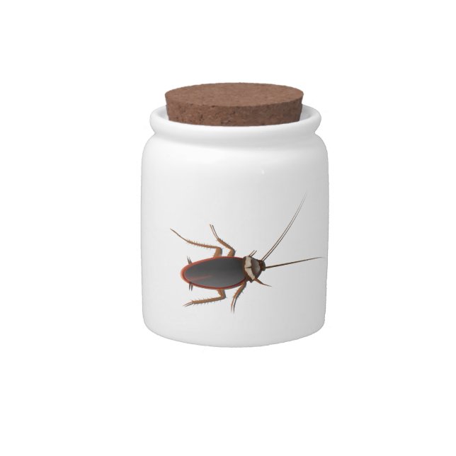 Cockroach Candy Jar (Front)