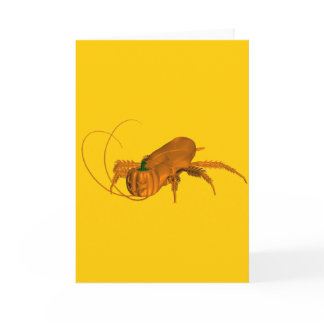 Cockroach Card