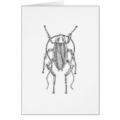 Cockroach Cards (Front)