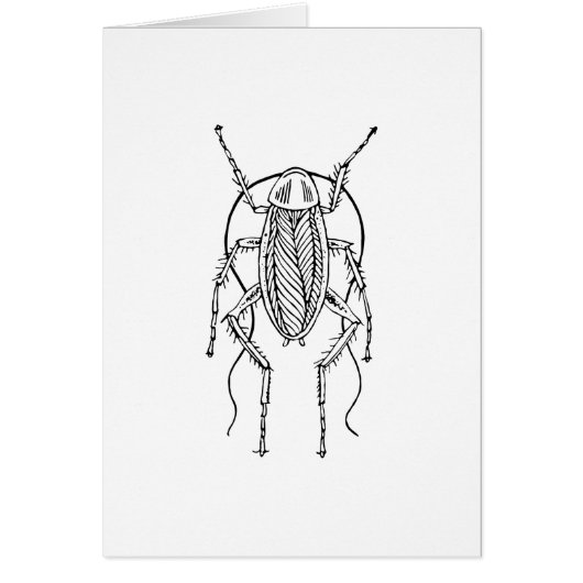 Cockroach Cards (Front)
