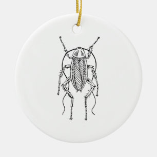 Cockroach Ceramic Ornament