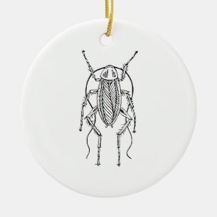 Cockroach Ceramic Ornament