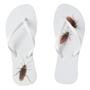 Cockroach Flip Flops