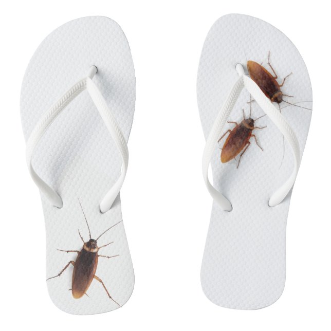 Cockroach Flip Flops (Footbed)