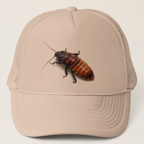 Cockroach Hat