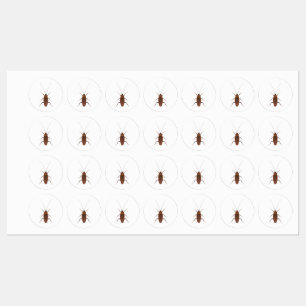 Cockroach Insect Kids' Labels