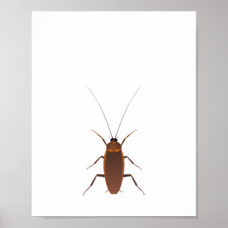 Cockroach Insect Poster