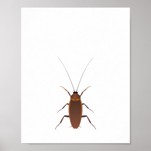 Cockroach Insect Poster