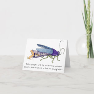 Cockroach Mother's Day Card