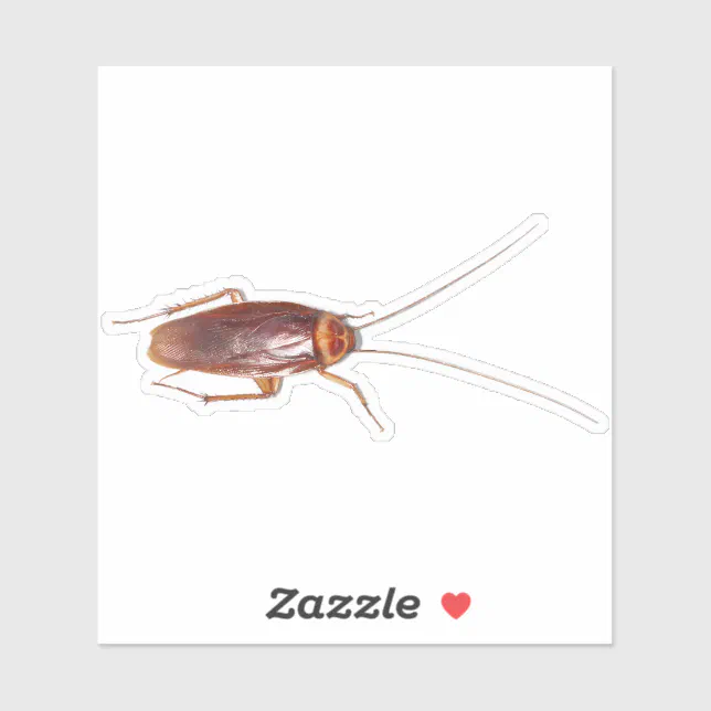 Cockroach Roach Sticker | Zazzle