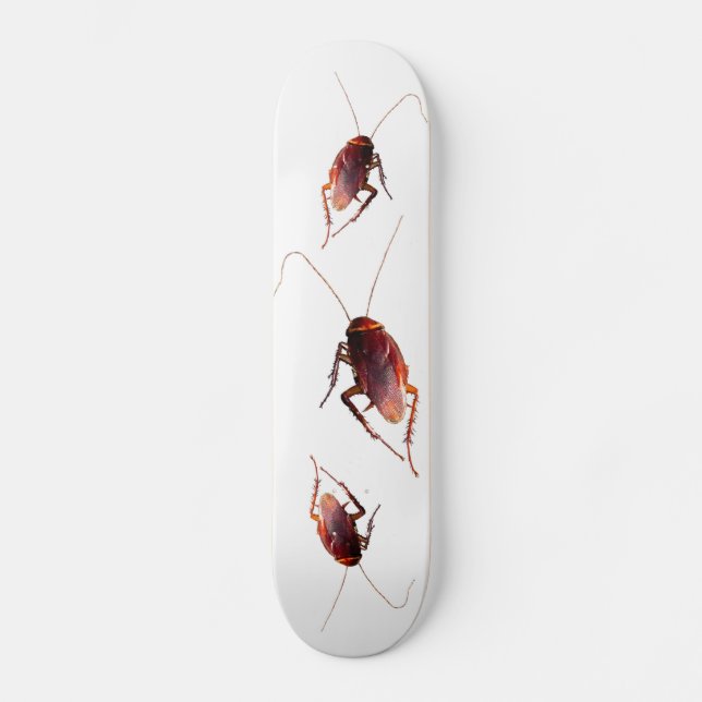 Cockroach Skateboard (Front)
