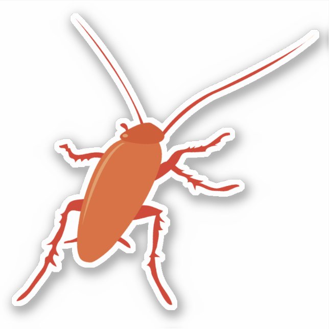 Cockroach Sticker (Front)