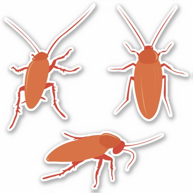 Cockroach Sticker Set (Front)