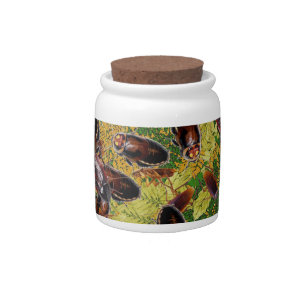 Cockroaches Candy Jar