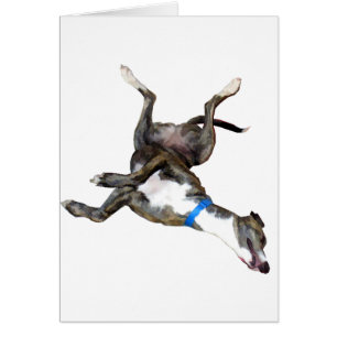 Cockroaching Cards