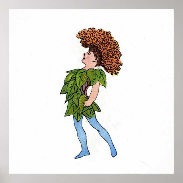 Cocks-Comb Poster (Front)