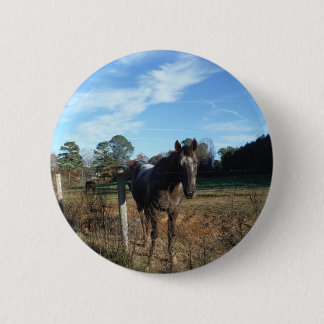 Coco and Cream brown horse Button