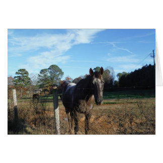 Coco and Cream brown horse Cards