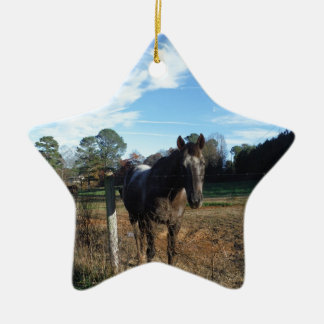 Coco and Cream brown horse Ceramic Ornament