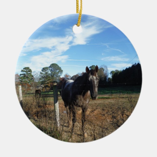 Coco and Cream brown horse Ceramic Ornament (Front)