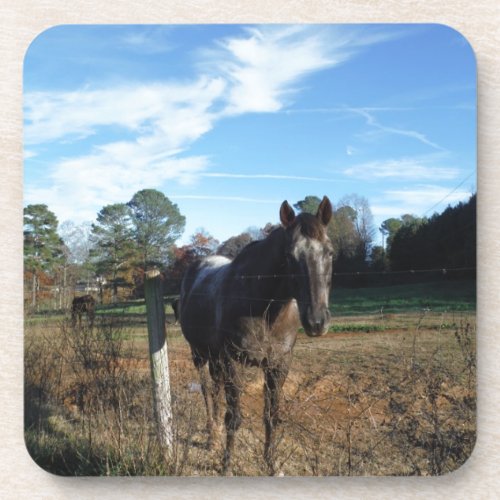 Coco and Cream brown horse Coaster