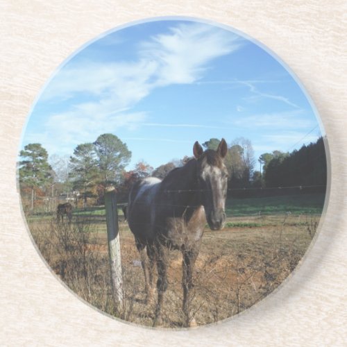 Coco and Cream brown horse Drink Coaster