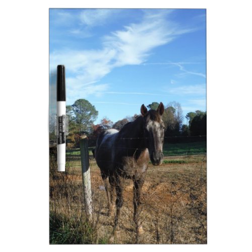 Coco and Cream brown horse Dry_Erase Board