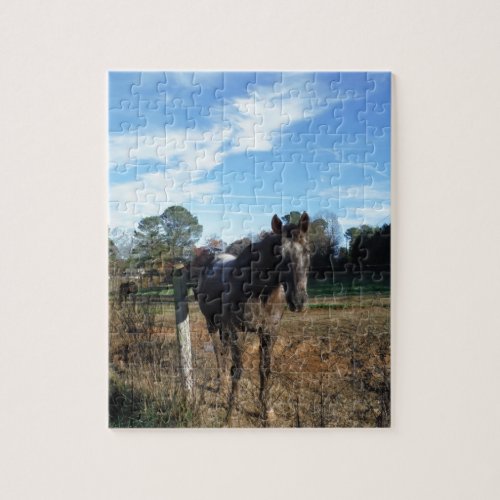 Coco and Cream brown horse Jigsaw Puzzle