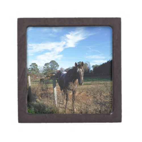 Coco and Cream brown horse Keepsake Box