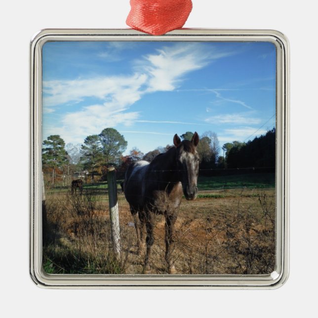 Coco and Cream brown horse Metal Ornament (Front)