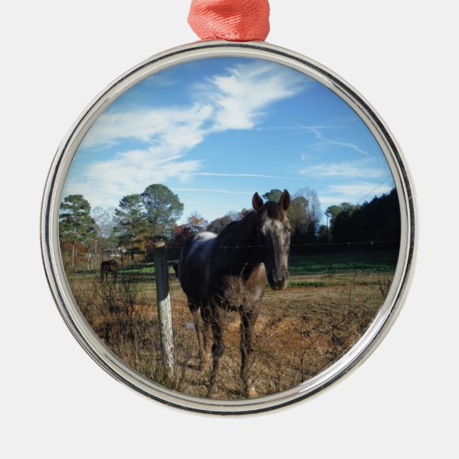 Coco and Cream brown horse Metal Ornament (Front)