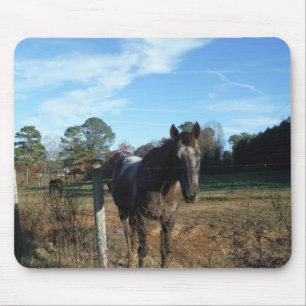 Coco and Cream brown horse Mouse Pad