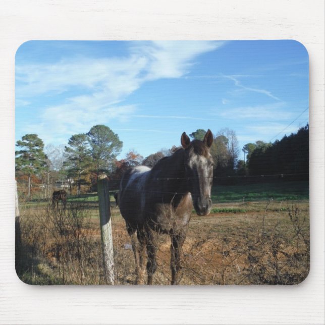 Coco and Cream brown horse Mouse Pad (Front)