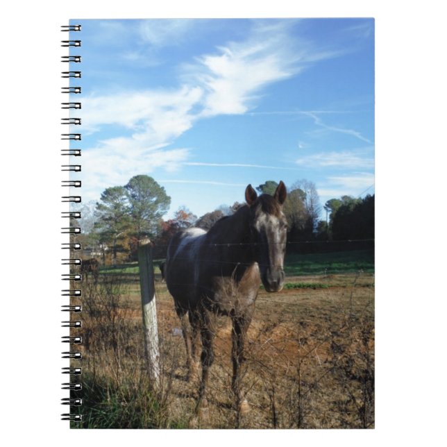 Coco and Cream brown horse Notebook (Front)