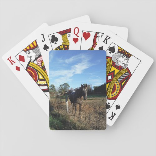 Coco and Cream brown horse Poker Cards