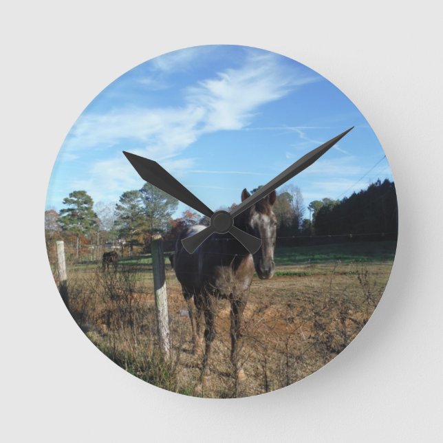 Coco and Cream brown horse Round Clock (Front)