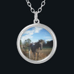 Coco and Cream brown horse Silver Plated Necklace<br><div class="desc">Coco and Cream brown horse Photo by Sandy Closs "gifts for horse lovers ""i love horses""horse wallet""brown horse""horse, horses, "horse gifts""farm animals ,  pony ,  ponies""horse lover""horse lovers"</div>
