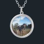 Coco and Cream brown horse Silver Plated Necklace<br><div class="desc">Coco and Cream brown horse Photo by Sandy Closs "gifts for horse lovers ""i love horses""horse wallet""brown horse""horse, horses, "horse gifts""farm animals ,  pony ,  ponies""horse lover""horse lovers"</div>