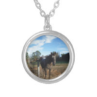 Coco and Cream brown horse