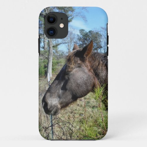 Coco and Cream Colored Horse iPhone 11 Case