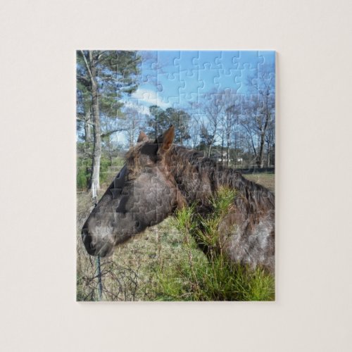 Coco and Cream Colored Horse Jigsaw Puzzle