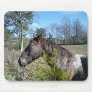 Coco and Cream Colored Horse Mouse Pad
