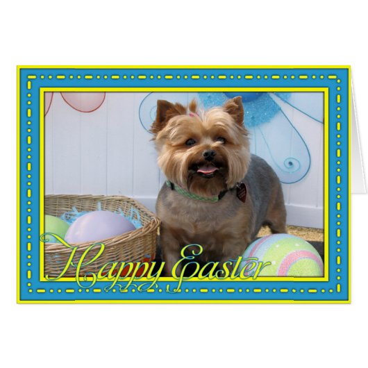 Coco Chanel - Yorkie -4 Cards (Front Horizontal)